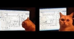 4987fb7a-9ed6-4a1a-abca-d3282fbfb1b2