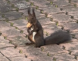 664fb053-1bb0-4bf2-bcdf-203ce42ddf48