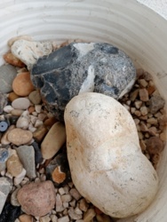 c317d861-ab2d-446f-9f6e-af1e56aececd