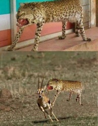 ee8086ef-0192-499d-a602-51fca89b6838