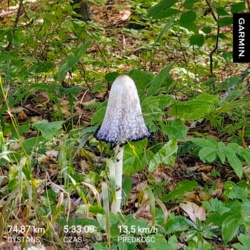 eaff9f76-9c83-4c98-9071-bf9f30c7c68d