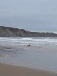 834ac2b9-ef4f-483c-b512-2a3936406525