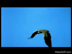 803d173e-8690-40fe-9892-32855fa4f962