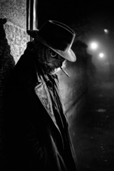 ce5e13a0-bdd0-4696-af97-8a70805f2684