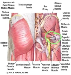 947aef79-31e0-4cd7-8bac-de57e1d1cafc
