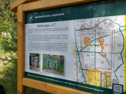 d776fef5-5e80-46d3-8764-44a90583742d