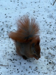 beb44a09-f2ca-4bf7-bd2d-72e9bc19f6f5