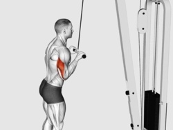 2ba7f953-7432-40f2-8969-e462edc7b264