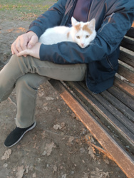 6cc95b06-c35d-4a37-84de-5c05da414bc4