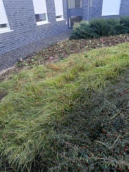 21857c36-6569-4848-a4f5-ee9d788cc9fc