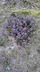 152599c5-042e-4b6b-8ea0-af5ae65b0617