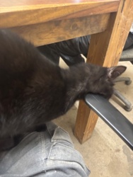 a80b0bbc-2f54-471a-9d49-b368bb9cb7d3