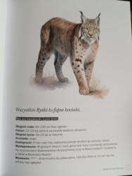 a1f1b7c3-bc9c-4d1d-b91c-1eb14673c710