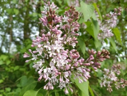 5892c8cf-951b-4ace-b752-b499e05aeb4c