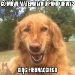 6002a93b-cf6c-4f3b-a379-52f90cb9a660