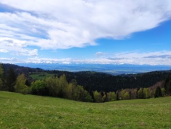 9745517a-5edf-44ef-9138-ac16f4fb1cab