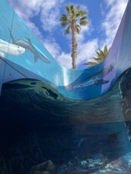 9d115a83-aecc-4ecb-a863-4e90e3e935db