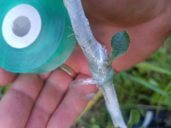 1ca43ebd-8bcf-46c4-b012-4facfb453a11