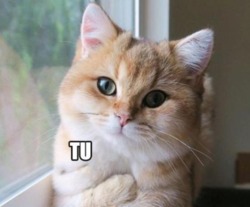 f44170ec-8a40-46c9-827e-f9dfd2a451fc