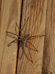 c743a9a4-439f-4f23-bf52-132893757221