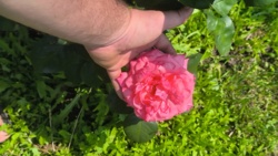 21a2edee-3471-4bd1-8c54-83743a7f41f9