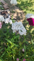 9521339d-b53c-48c3-859c-410f56b95a70