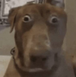 c58452fd-6ba0-4a4a-b5ff-c652feff5ca7