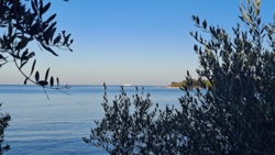 dad1114e-0a39-4b54-890c-3a32b8b713da