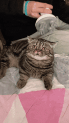 c2535d3b-3cc7-423f-882a-b8a793ce399a