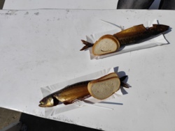 ef6924df-43f5-45df-86c8-884a4f6815bf