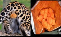 b1efbb86-71b8-4901-ad0c-75c34536a48d