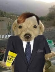 764900ce-a3c2-45df-b31f-1a1ce3fb6e73