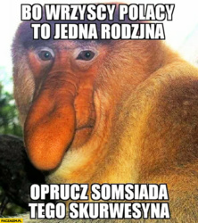 16cbc77e-9be6-4d84-8d96-57457fe9adcd