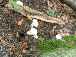 bcd35092-ca1b-4e09-a73e-74c9fb87afc6