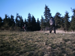 daf5d3e8-0ab6-4c35-acd9-b91b2e19898f