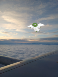 c223da44-9aeb-4e28-8f09-eb16d531c829