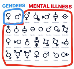 5a930ede-b7e2-4ee1-b776-e6a904f4c1a7