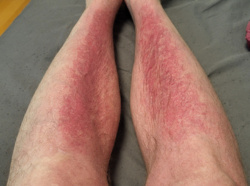 6104528f-a09a-4cd0-ac14-170976156f14