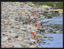 112e6219-ec00-44aa-8518-0de1499a4833