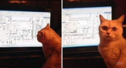 05150434-b7a7-428b-91a4-3bdc27f0cd1b