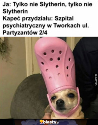 450dd06c-707f-47e7-85a3-9d630e730213