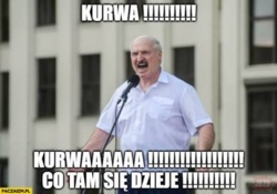 f70f2890-eb9e-493c-adcf-b8f34b0c7f5a