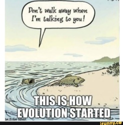 d50e6d96-de88-4700-8dd8-b05623e0641f