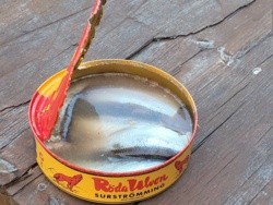 b1a5d50a-d5d5-477a-a085-45290952ca2d