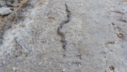 848be3ee-4a71-4987-9aef-302617c4e7fd