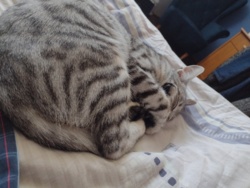 951603f1-ff53-4667-b1c7-a95b59954dd3