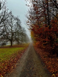 35b9d53d-a73f-467c-976b-b72db87de759