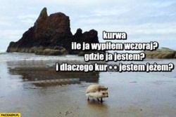 019c7e6e-9d45-4163-b6e8-bff64d956cc0