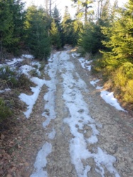 d8d1b8a2-600c-40f6-a5a0-b9682a8aa7bc