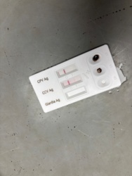 fd9735c4-3d18-4e6b-be88-a48d088f6d6c